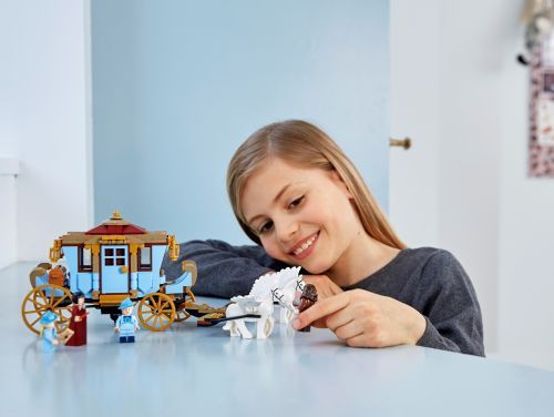 Set 75958