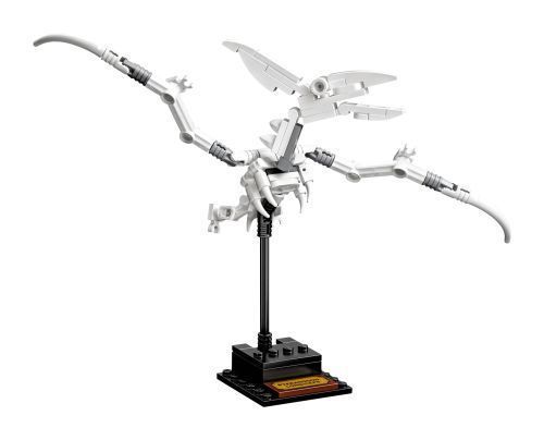 Set 21320