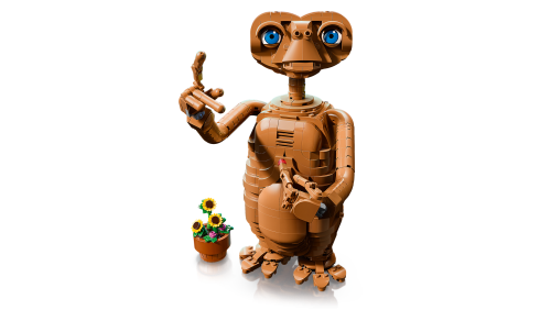 Set 21370