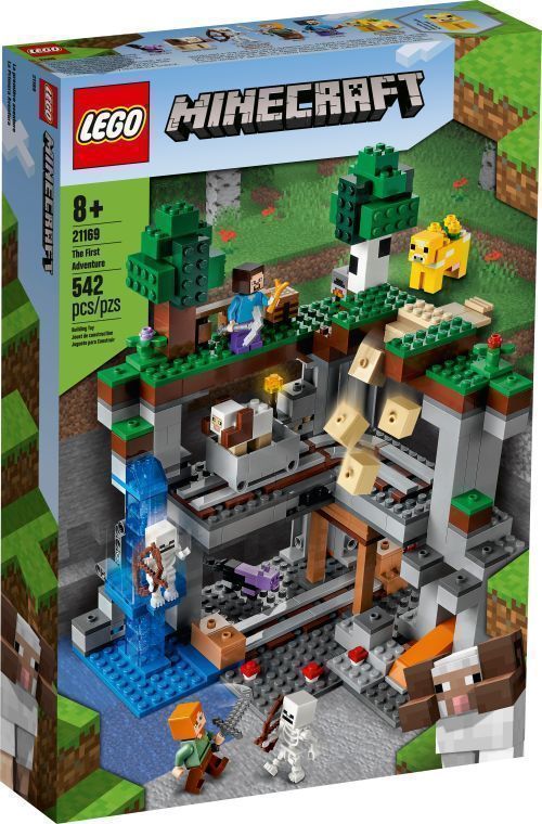 Set 21169