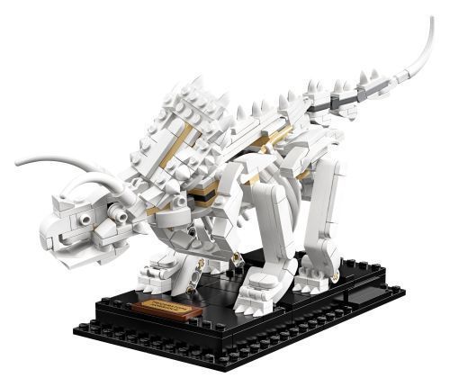 Set 21320