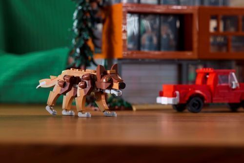 Set 21354