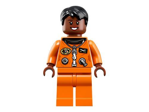Set 21312