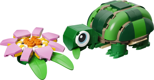 Set 31377