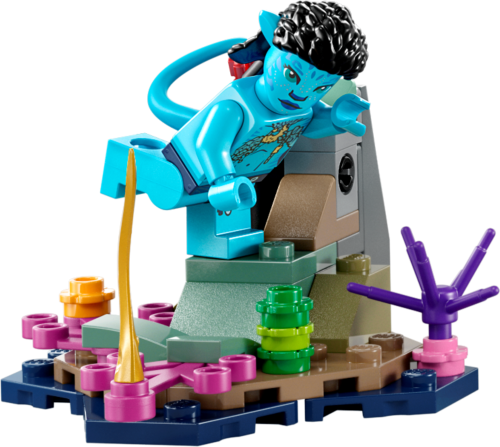Set 75579