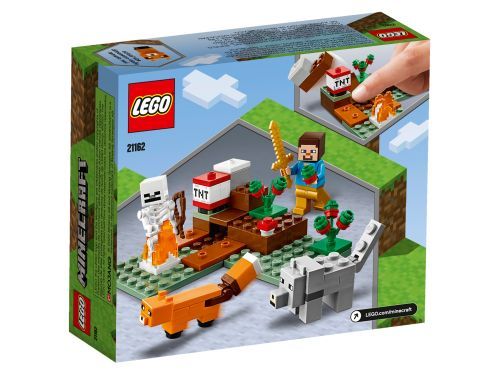 Set 21162