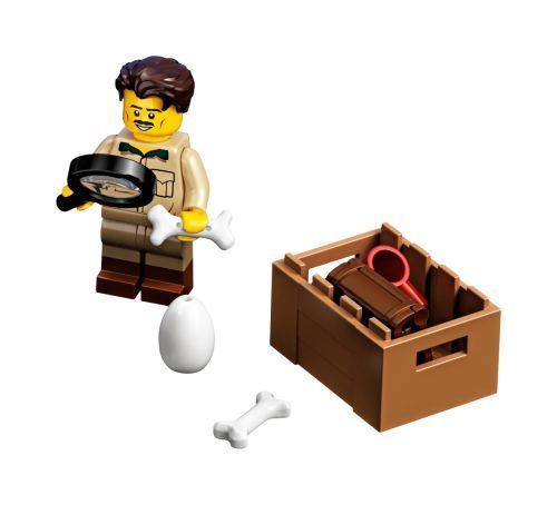 Set 21320