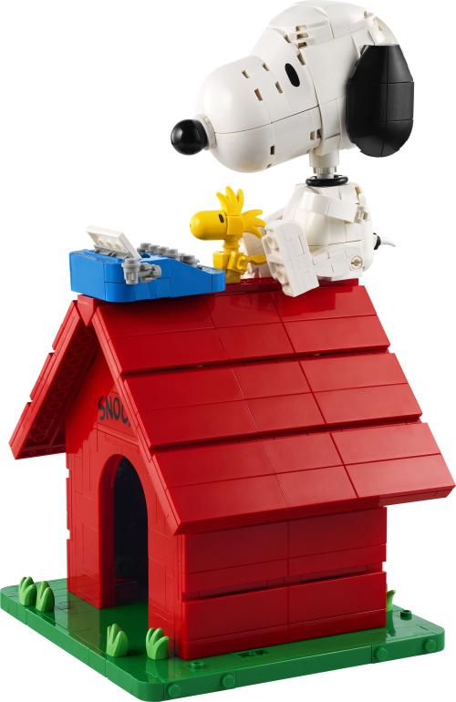 Set 21368
