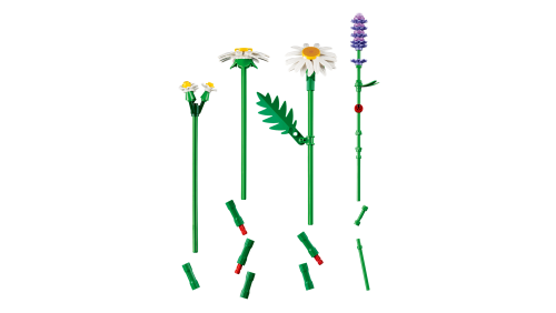 Set 11508