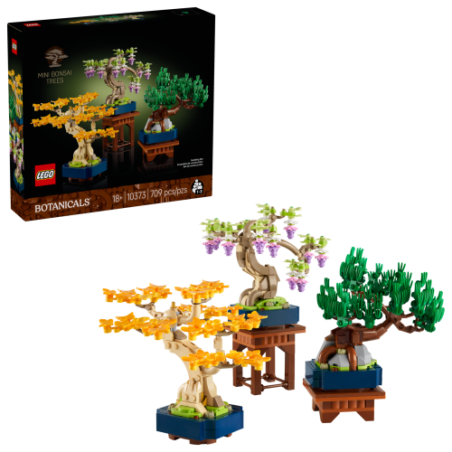 Set 10373