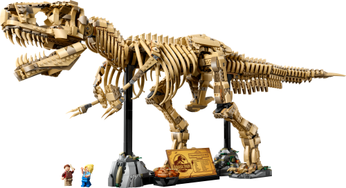 Set 76968