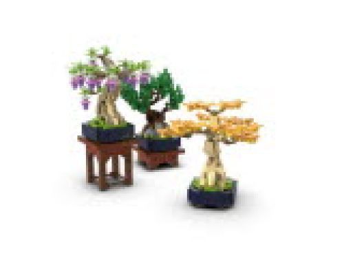 Set 10373