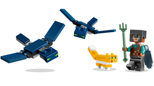 Set 21173
