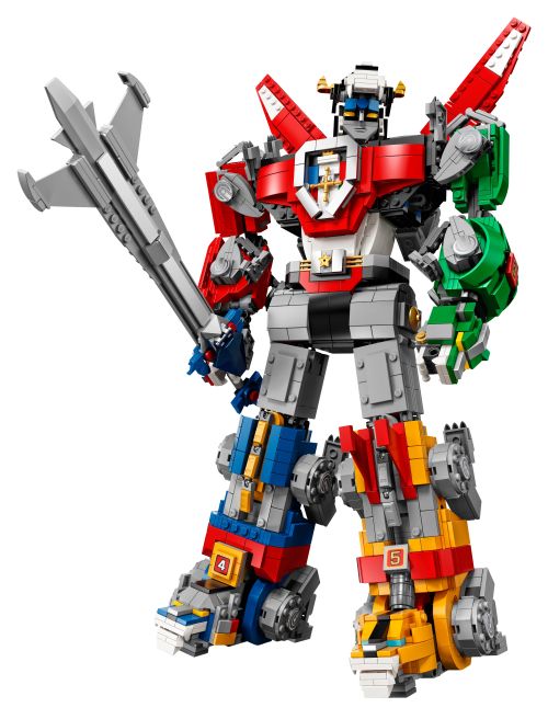 Set 21311
