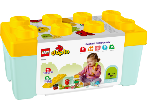 Set 10984