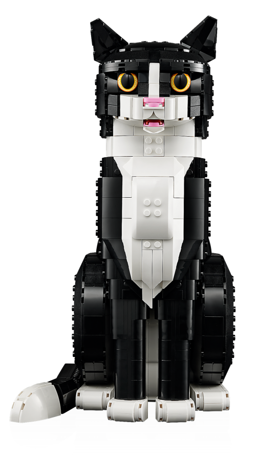 Set 21349