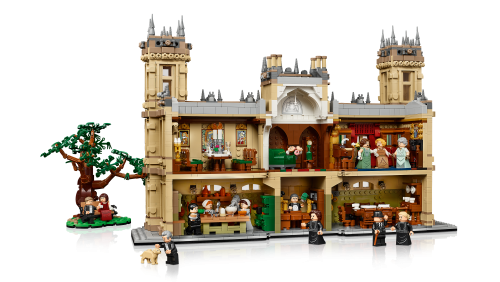 Set 21373