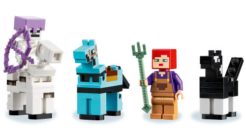 Set 21171