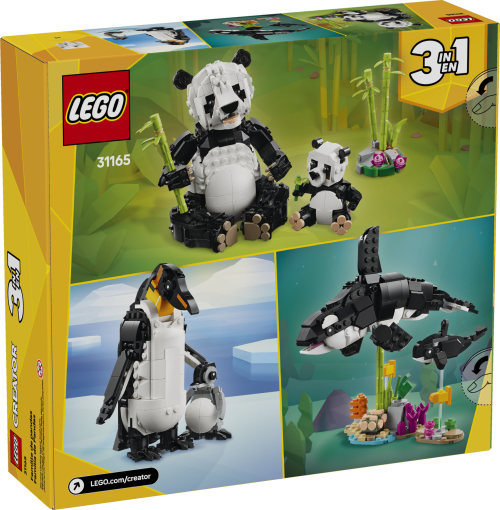 Set 31165
