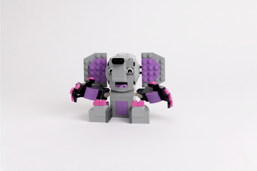 Set 5009206