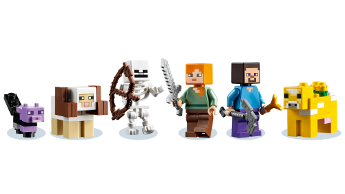 Set 21169