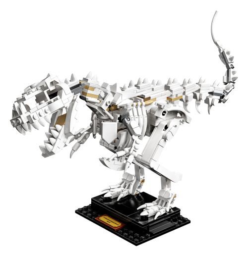 Set 21320