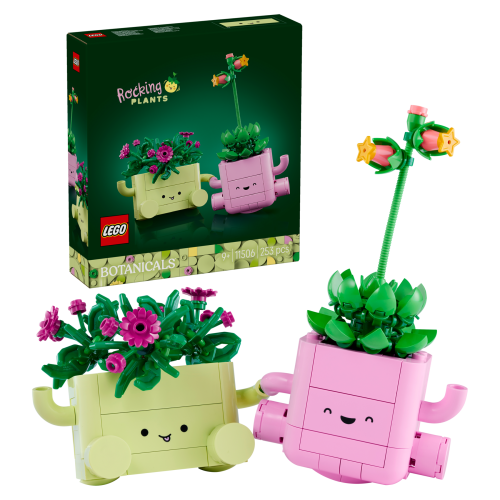 Set 11506