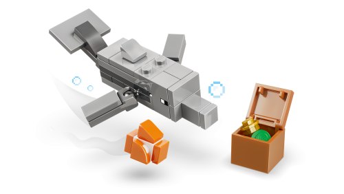Set 21598