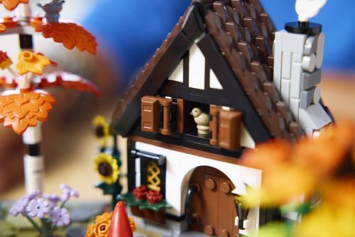 Set 11372