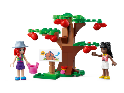Set 41721