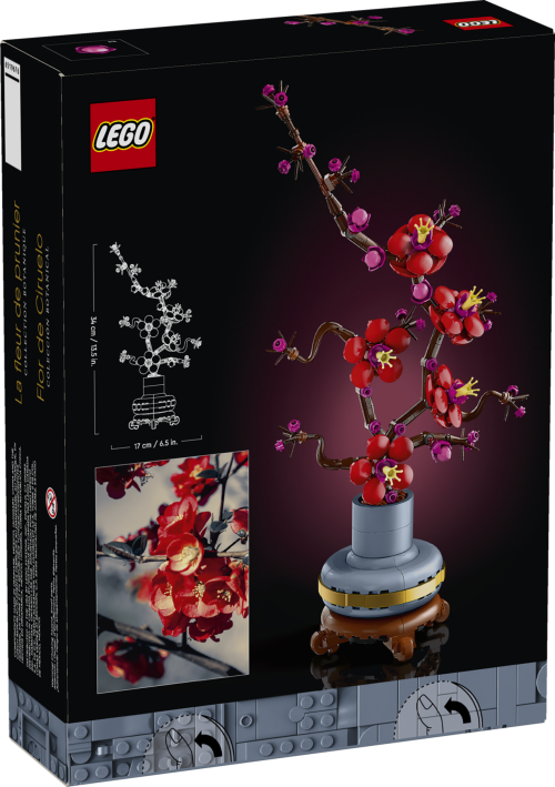 Set 10369
