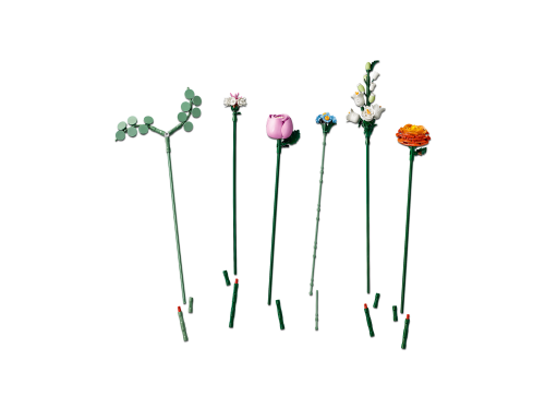Set 10342