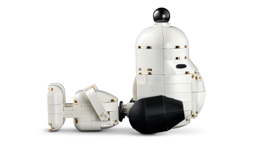 Set 21368
