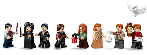 Set 75980