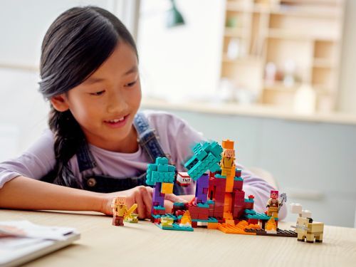 Set 21168
