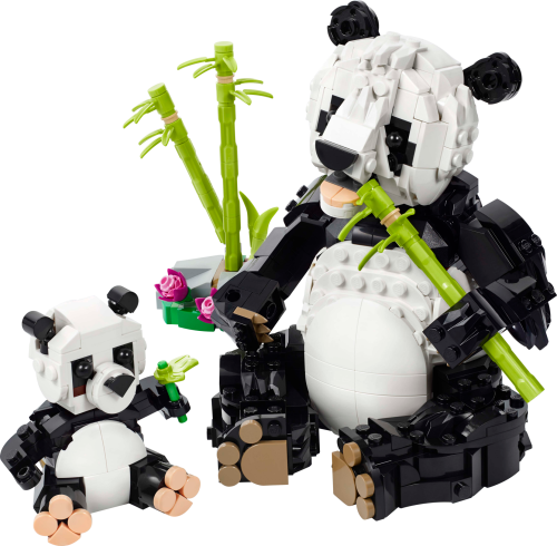 Set 31165