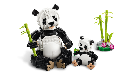 Set 31165
