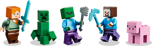 Set 21161