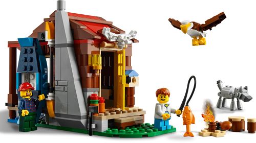 Set 31098