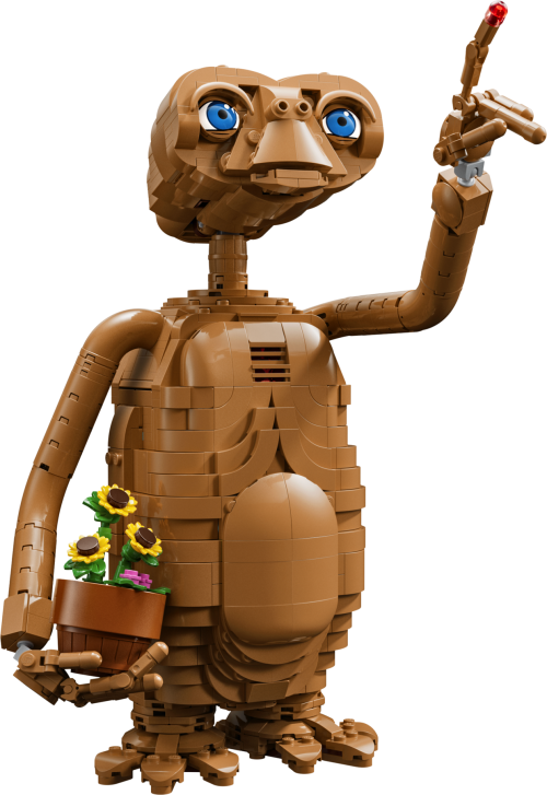 Set 21370