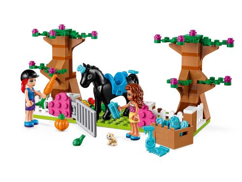 Set 41431