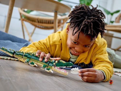 Set 31121