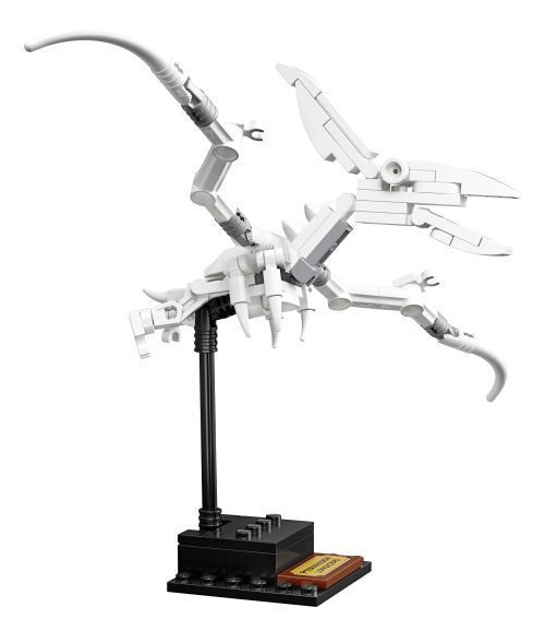 Set 21320
