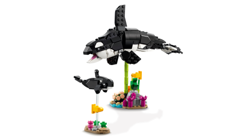 Set 31165