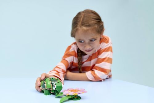 Set 31377