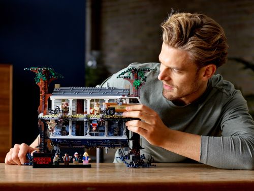 Set 75810
