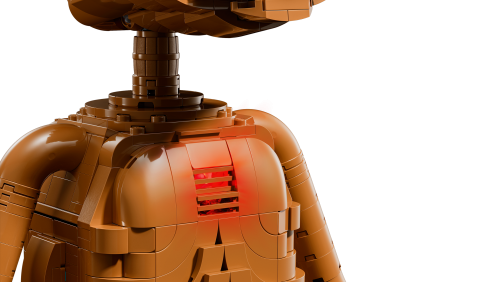 Set 21370
