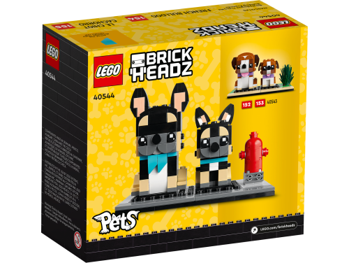 Set 40544