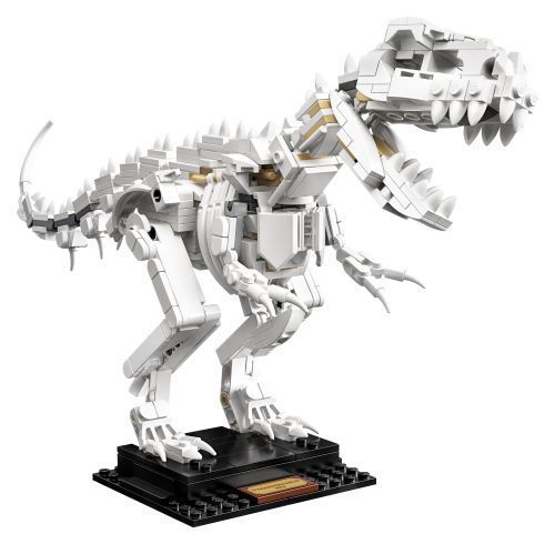 Set 21320