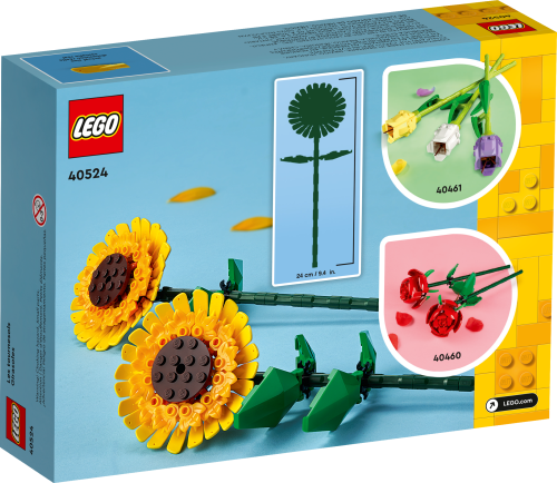 Set 40524